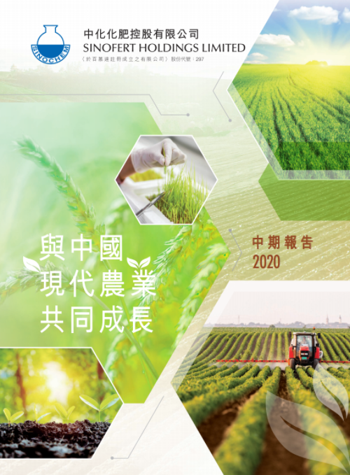 2020年中期報(bào)告