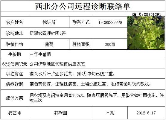 點擊查看大圖