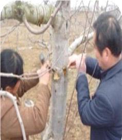 點(diǎn)擊查看大圖