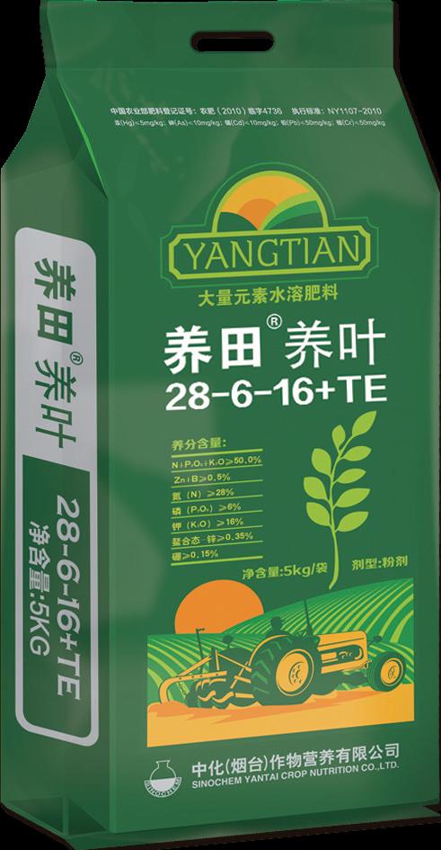 點(diǎn)擊查看大圖