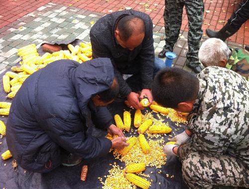 點(diǎn)擊查看大圖