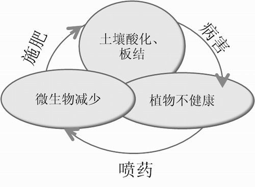 點(diǎn)擊查看大圖 12