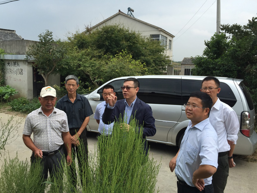 點擊查看大圖 中化化肥CEO王紅軍到下屬單位調(diào)研