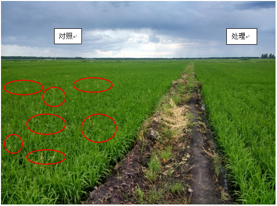 點(diǎn)擊查看大圖