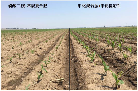 點(diǎn)擊查看大圖
